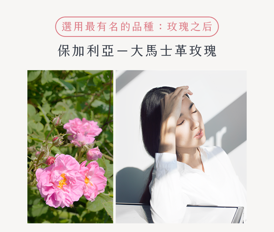 選用最有名的品種：玫瑰之后