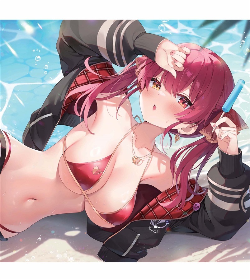 C104「同人代購」「Melonbooks代購」ハチゴ - あやみ - 終わらない!ホロサマ3【あくあちゃんクリアファイル付き】 AQUA