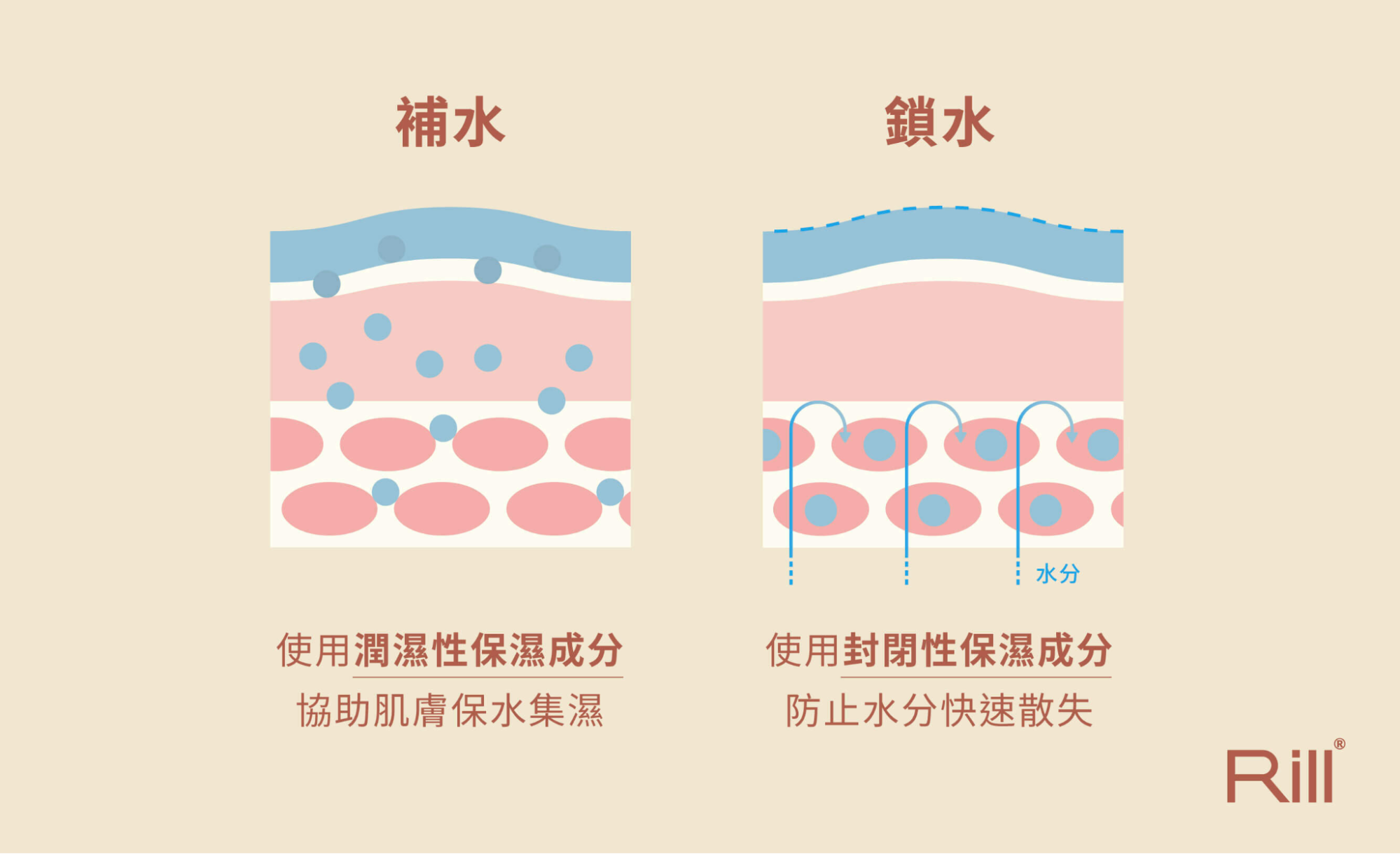 補水、鎖水是保濕不可或缺的步驟