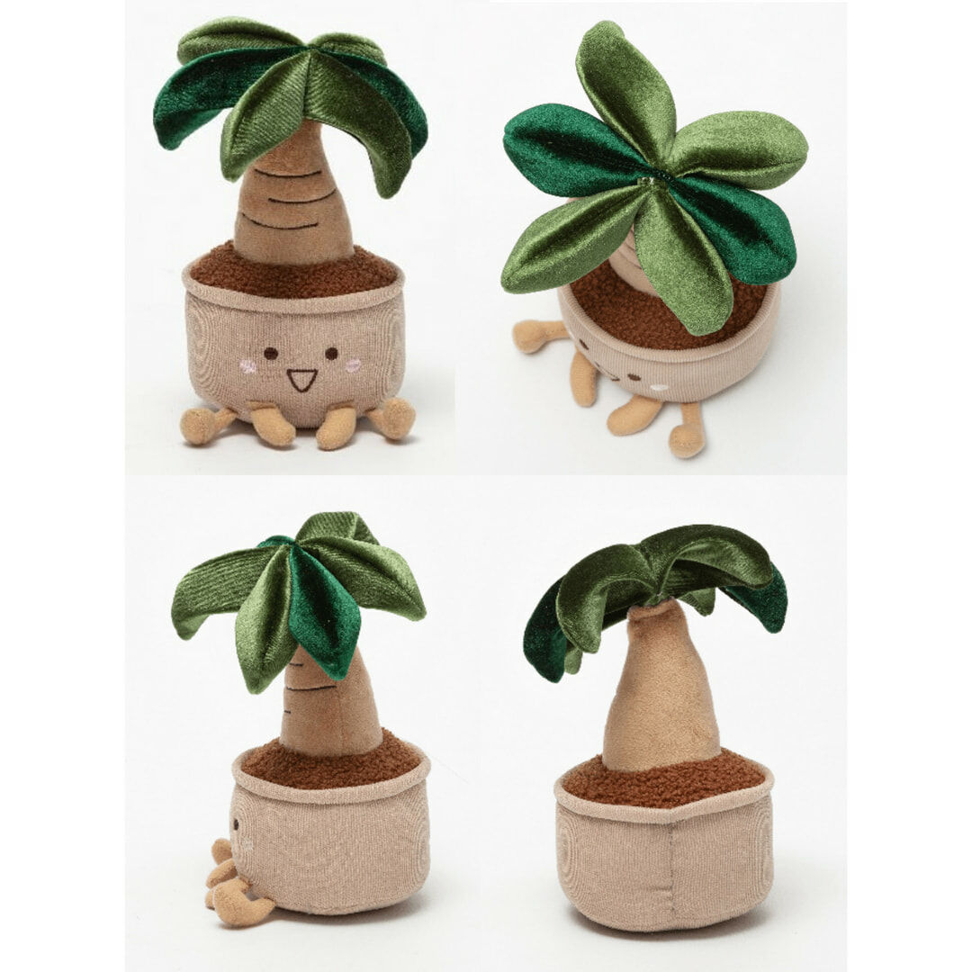 萌布朗-療癒系 盆栽殺手救星|人用裝飾小物