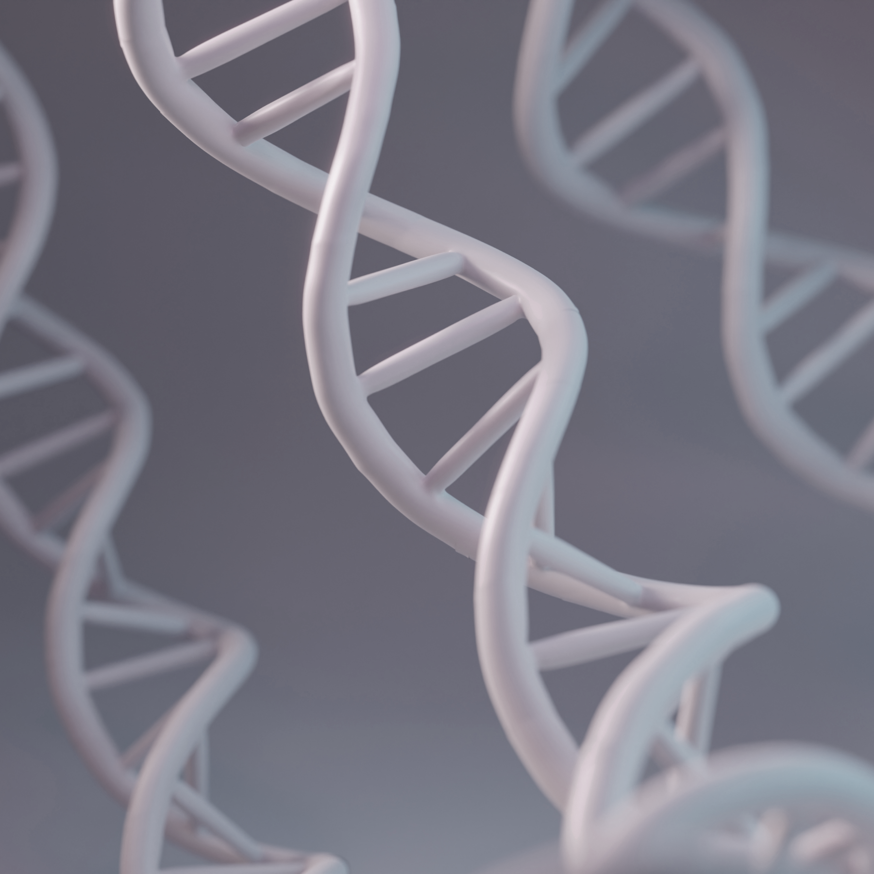 極地賦活快充配方