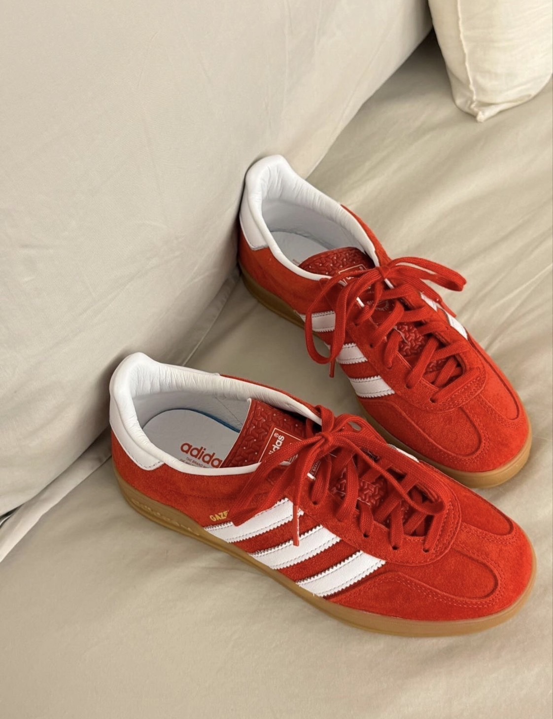 Adidas Gazelle Indoor 復古紅