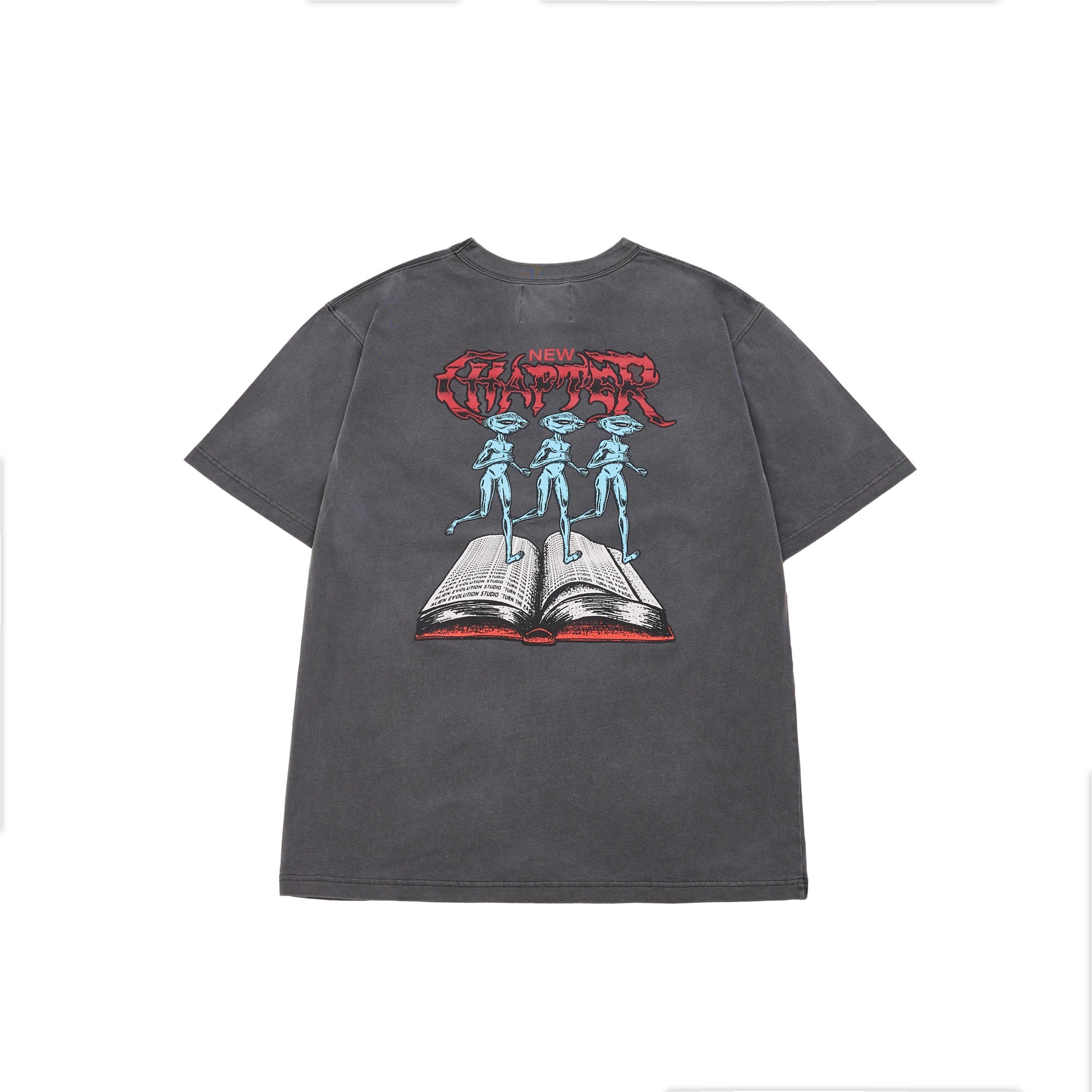 AES NEW CHAPTER DISTRESSED TEE