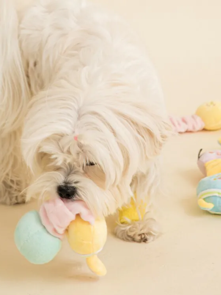 【韓國 BiteMe】動動兔 / 動動熊｜造型玩具