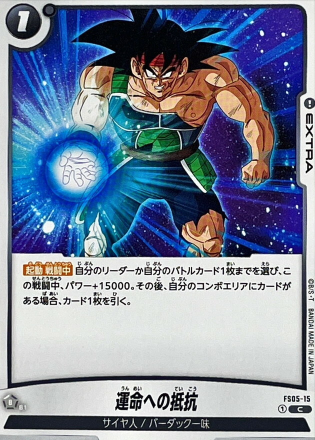 FS05-15 運命への抵抗