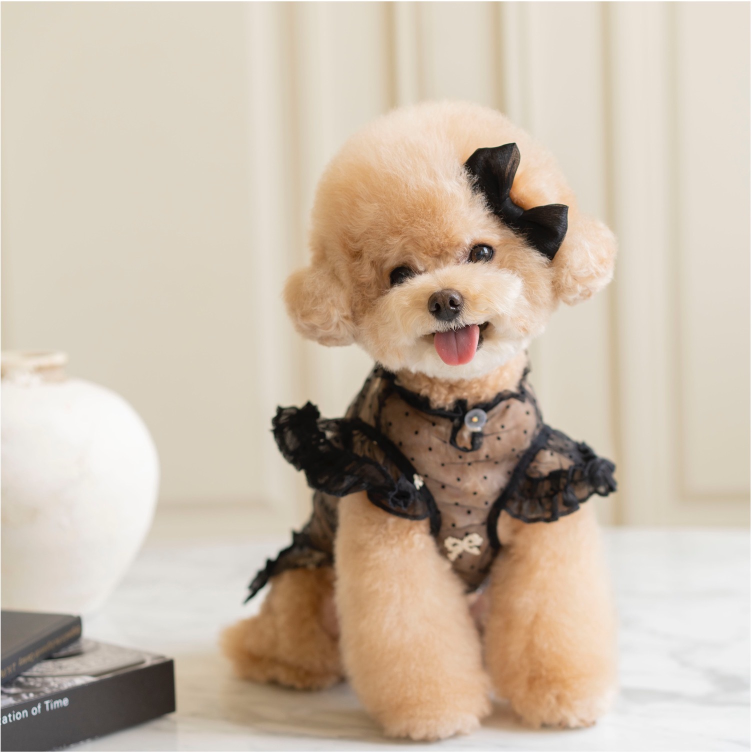 OPAAAP 點點紗質蝴蝶結罩衫