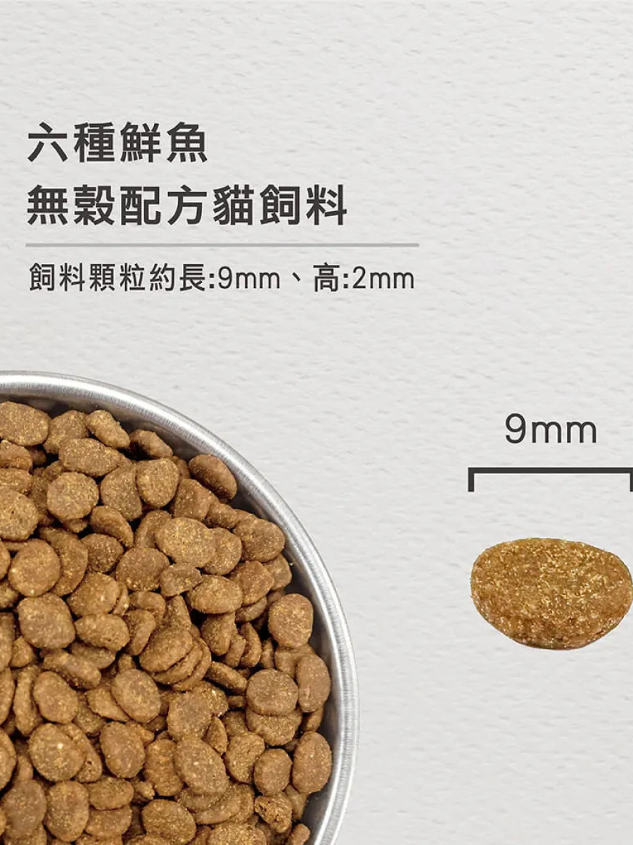 【歐睿健 Orijen】無榖貓飼料｜六種鮮魚