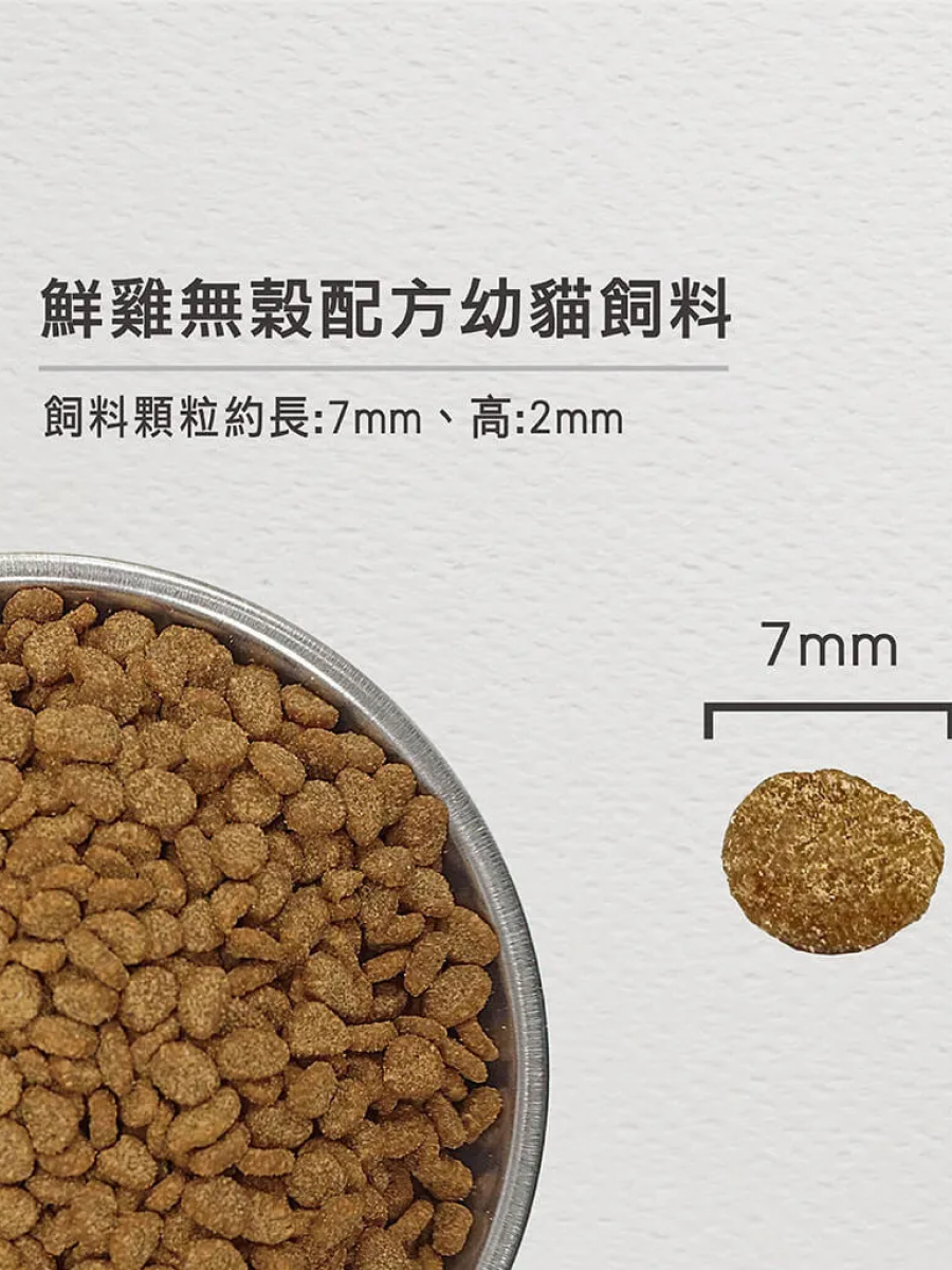 【歐睿健 Orijen】無榖幼貓飼料｜鮮雞