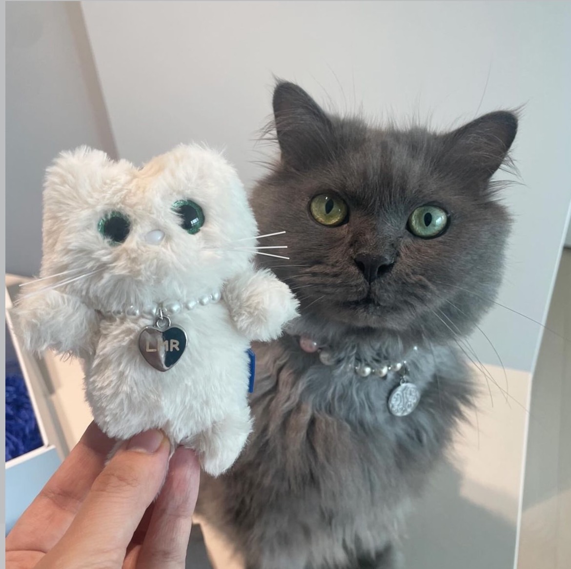 <愛豆同款🐱> LMR 貓貓吊飾