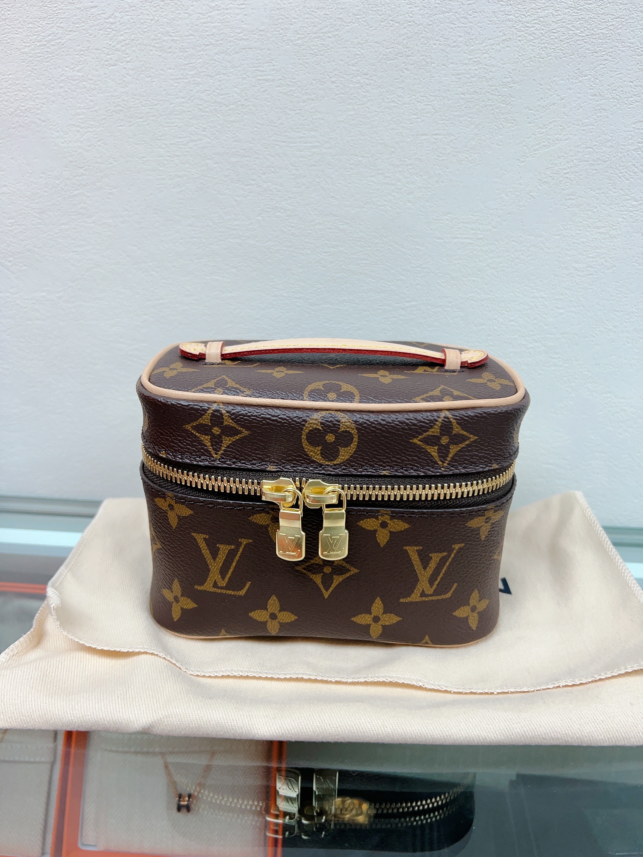 Lv nice nano (brown monogram)