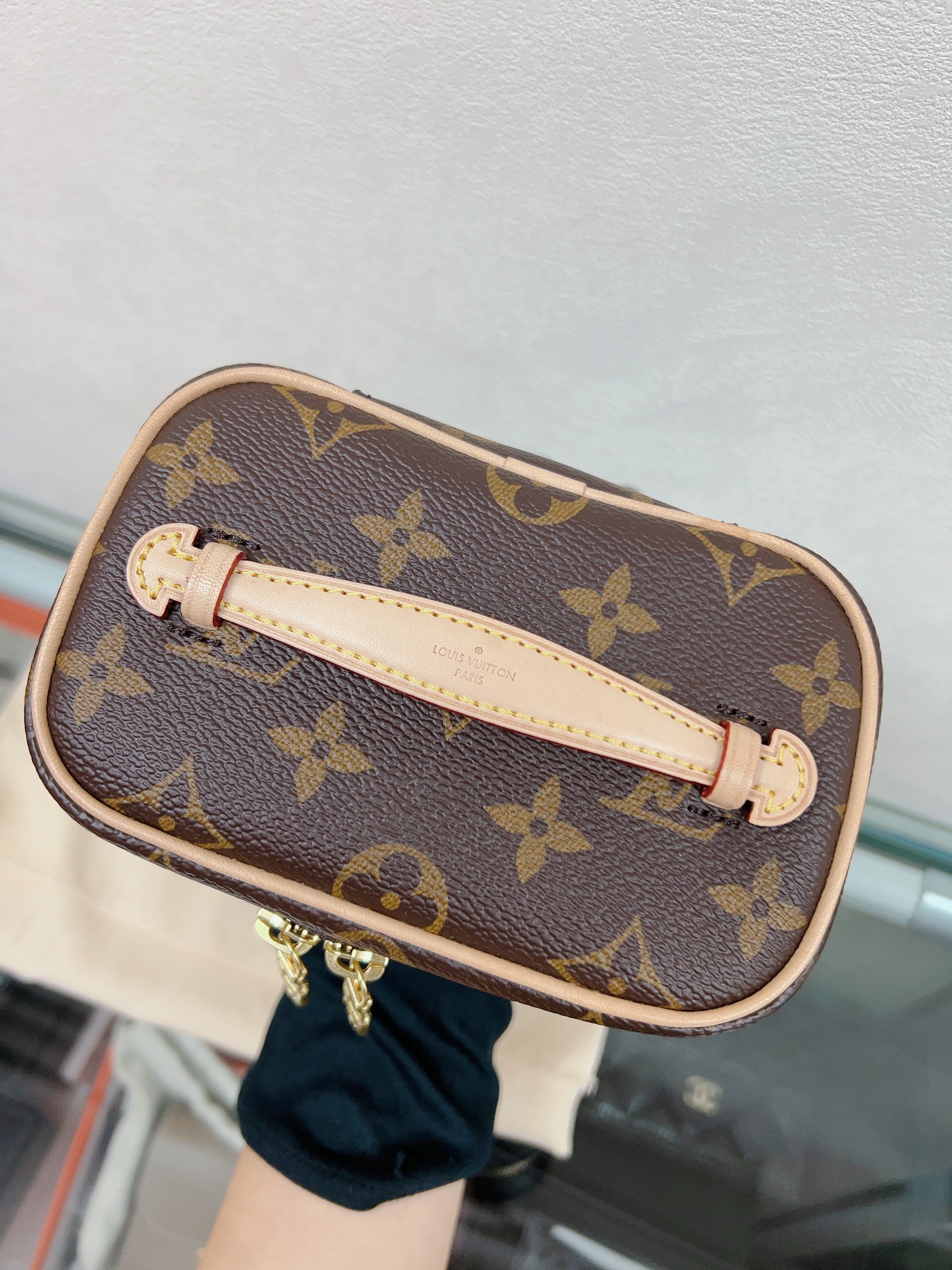Lv nice nano (brown monogram)