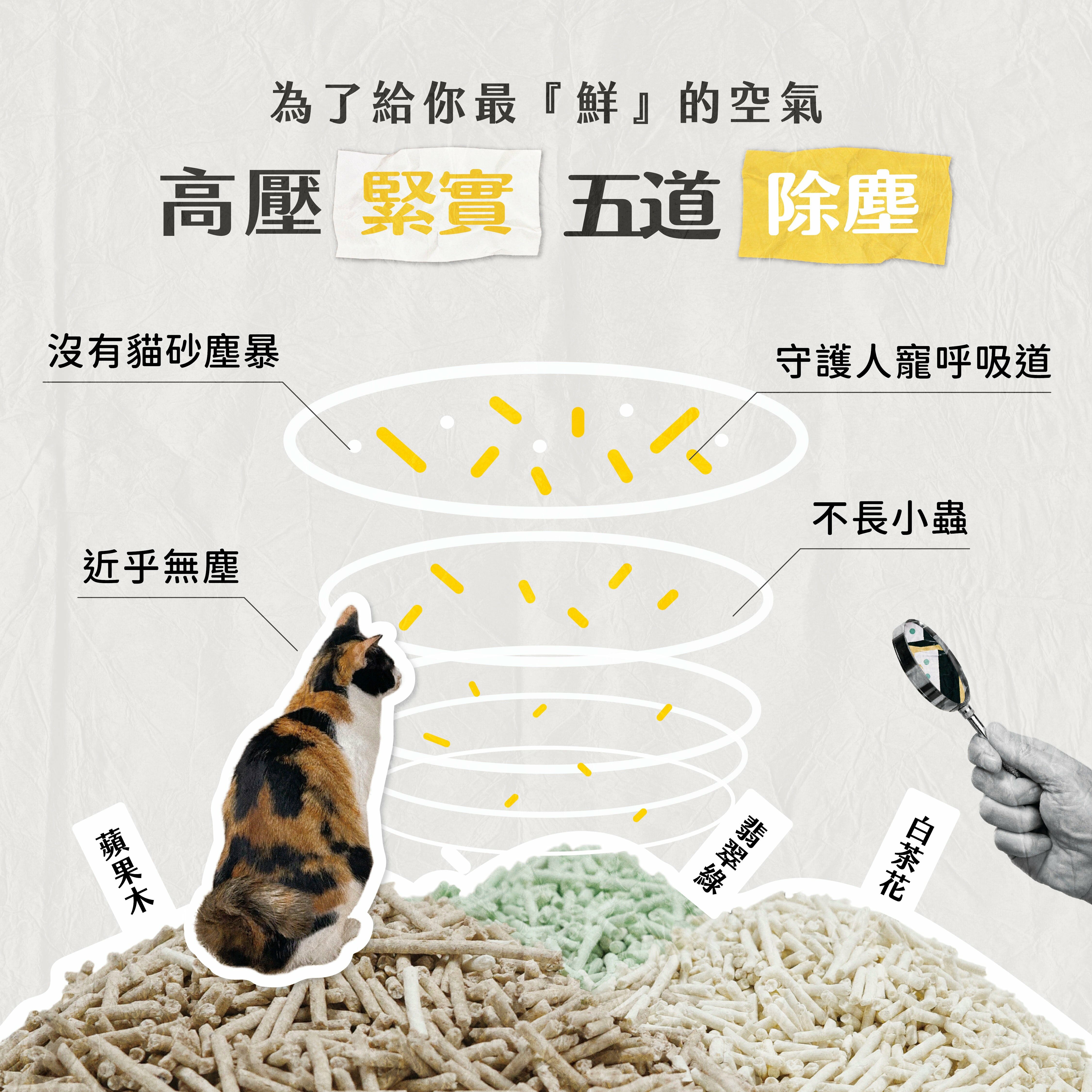 【毛孩站起來】五吉貓 PURE純豆腐砂