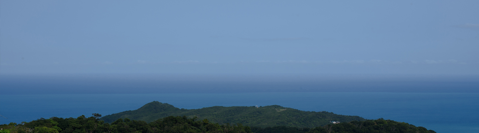 頌缽聲波傳導按摩