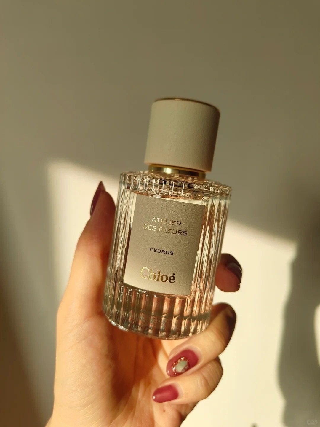 Chloé CEDRUS 香水　50ml Chloe Atelier Des Fleurs Cedrus Eau De Parfum Spray 50ml/1.7