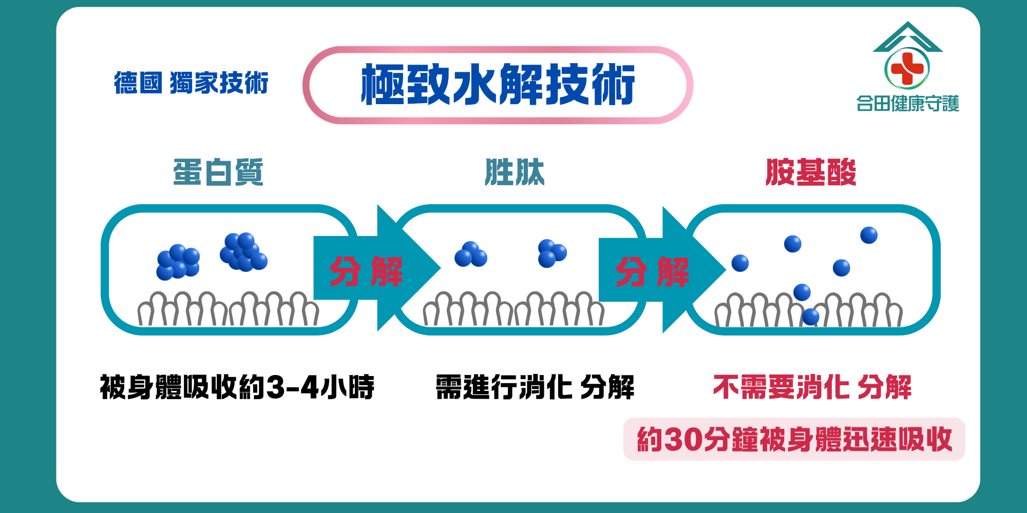 合田德國胺基酸補精