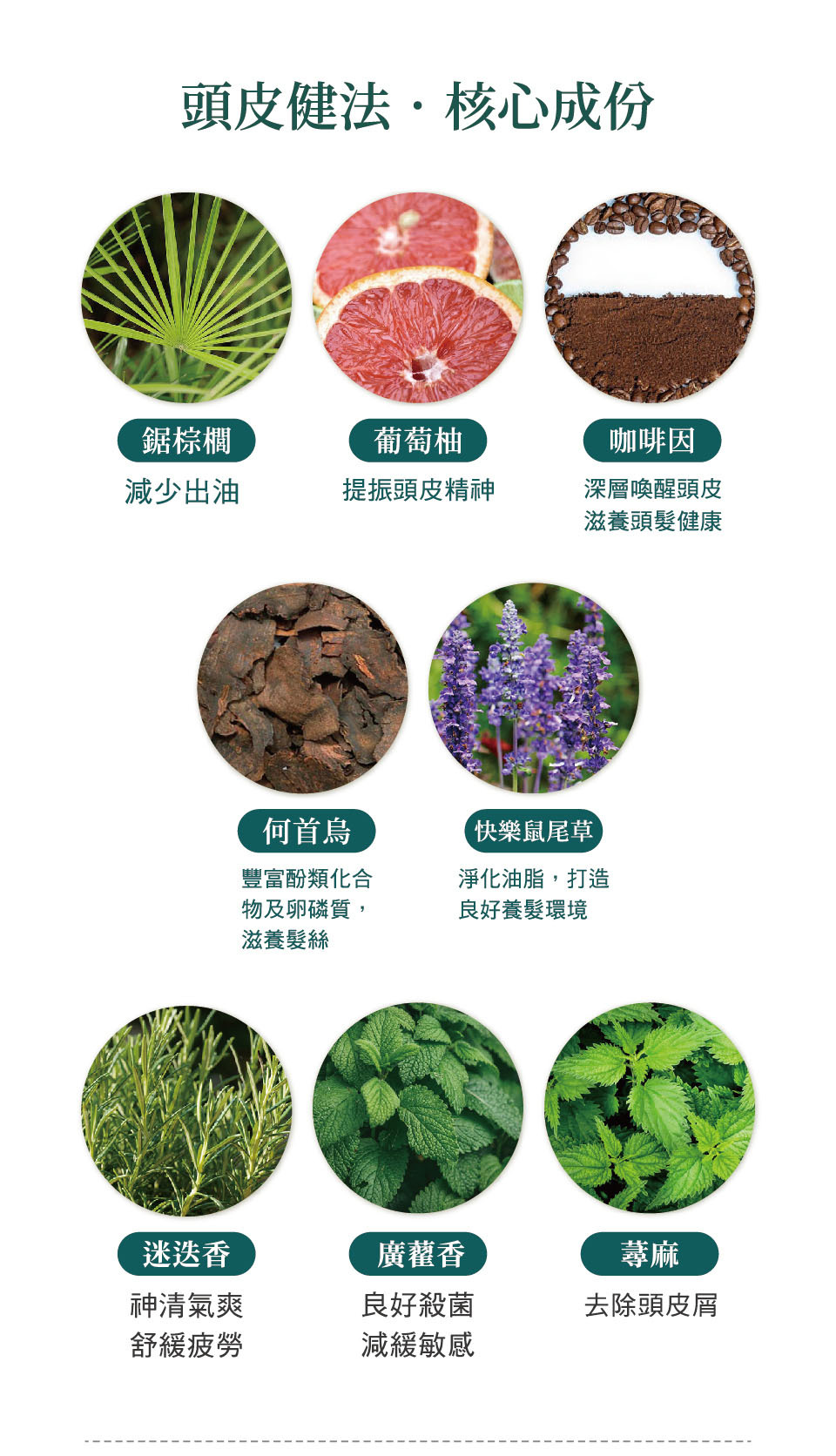 TERRIS髮學家PRP頭皮健髮洗髮精-成分