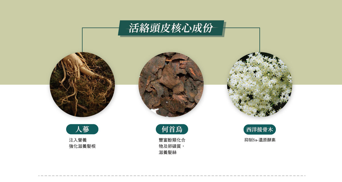 TERRIS髮學家蘊髮精華組-成分