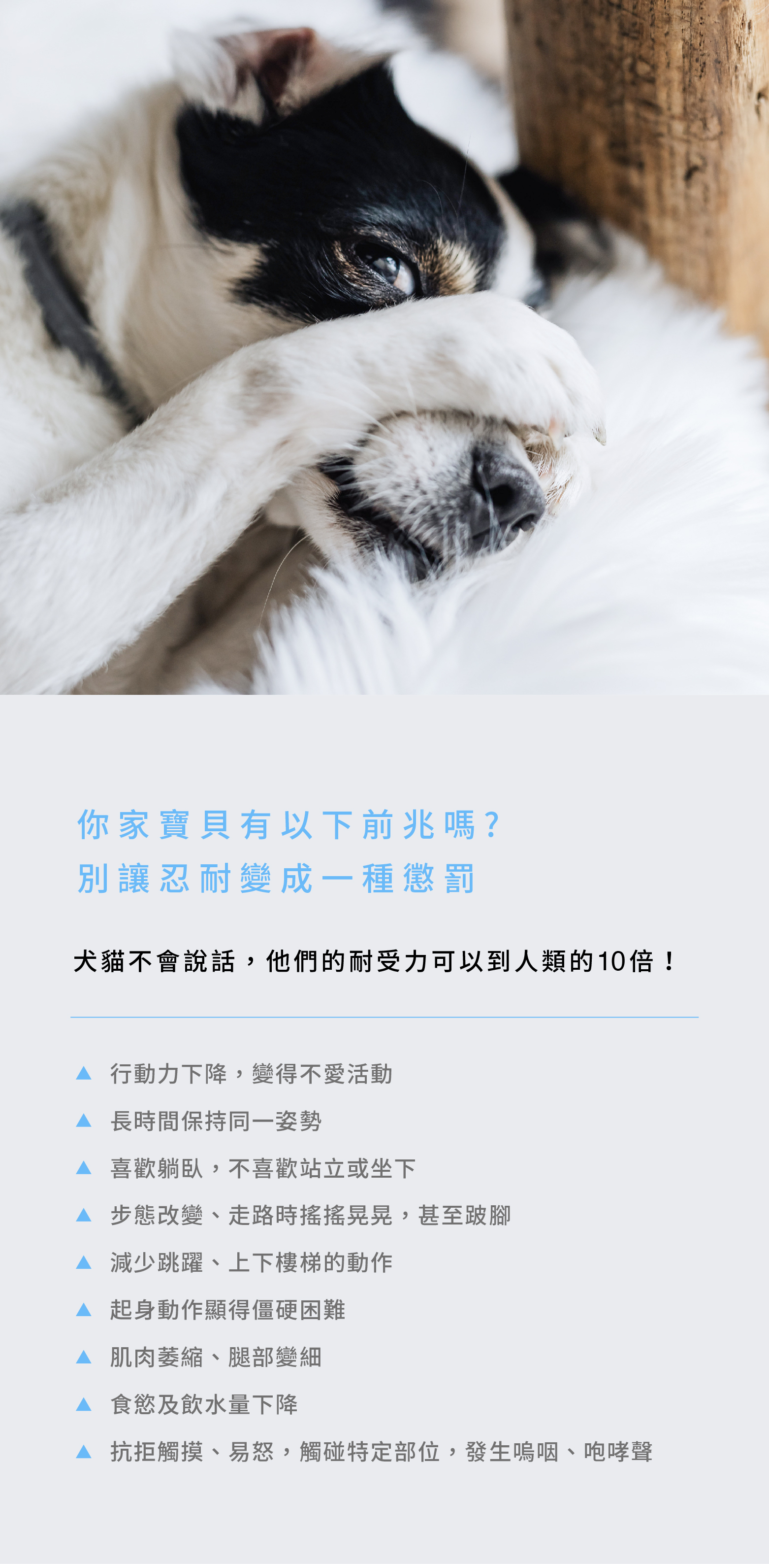 狗狗貓咪可能正在忍耐關節痛楚，補充寵物關節保健粉，預防勝於治療。