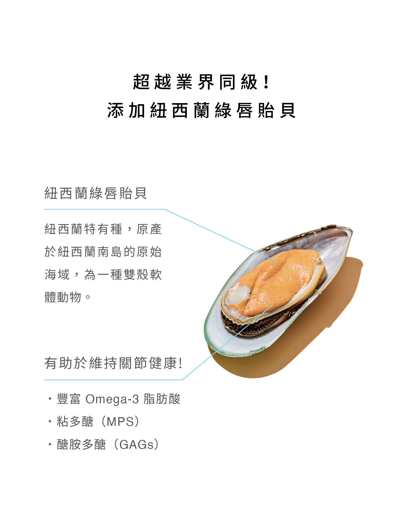 紐西蘭綠唇貽貝，含豐富omega-3等營養素，給予寵物關節保健天然又有效的營養來源。