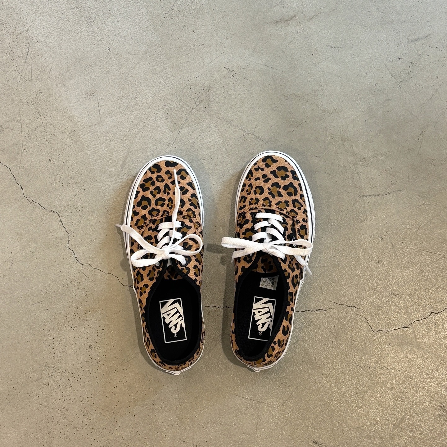 Vans Authentic 豹紋 動物 焦糖卡其 男女 帆布鞋 VN0A2Z3ZCJI