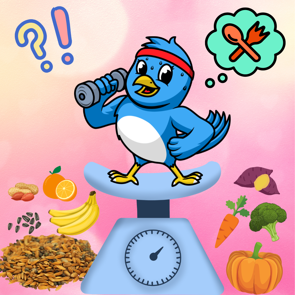 Plantimal Blog- Balanced Diet for Parrots