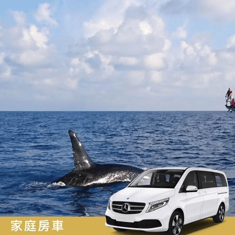 花蓮包車三天兩夜行程推薦：六十石山金針花海+賞鯨三日遊 （含住宿、早餐）