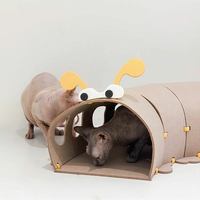 Ambition｜躲貓貓卡其毛毛蟲（需自裝）