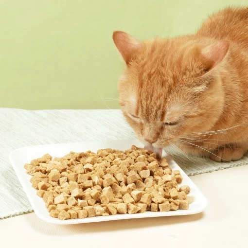 汪喵星球 凍乾主食餐 (小方粒型)|貓飼料