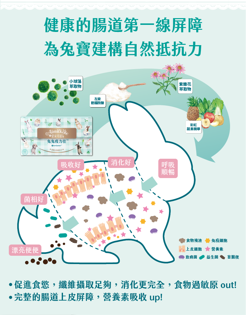 健康的腸道第一線屏障 為兔寶建構自然抵抗力 漂亮便便 菌相好 吸收好 消化好 呼吸順暢 促進食慾 纖維攝取足夠 消化更完全 食物過敏原out! 完整的腸道上皮屏障 營養素吸收up!