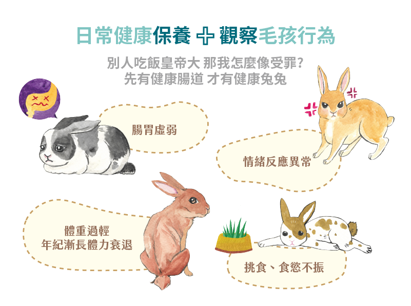 日常健康保養 + 觀察毛孩行為 別人吃飯皇帝大那我怎麼像受罪? 情緒反應異常 體重過輕 年紀漸長體力衰退 挑食、食慾不振 先有健康腸道 才有健康兔兔 腸胃虚弱