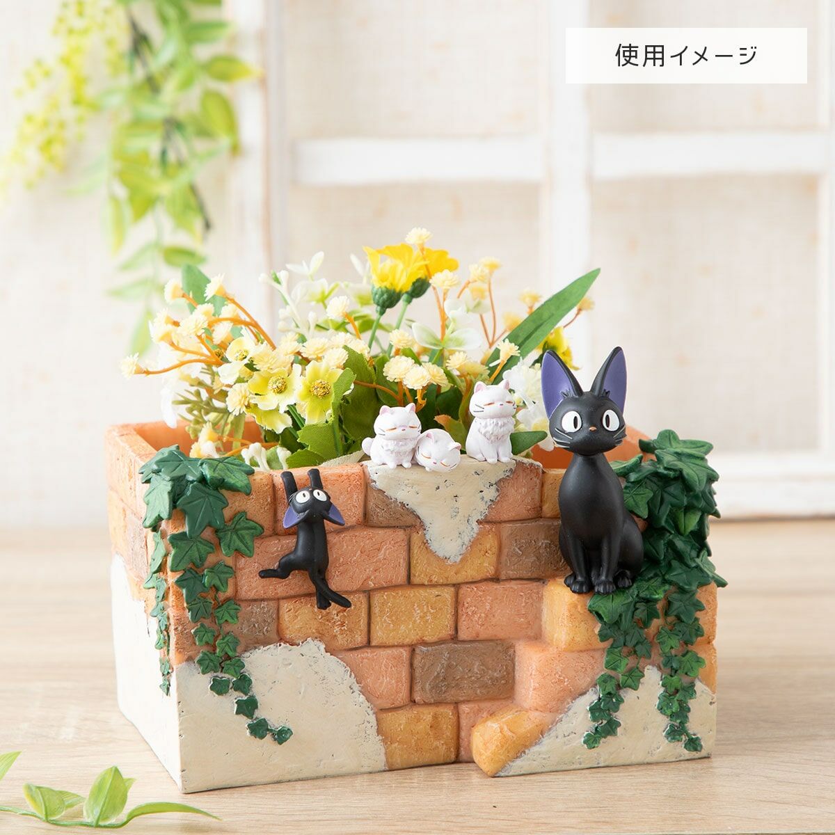 林淡幽 花生 共箱