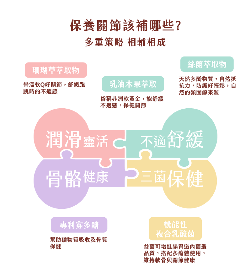 保養關節該補哪些? 多重策略 相輔相成 潤滑靈活 珊瑚草萃取物 骨溜軟Q好關節 舒緩跑跳時的不適感 不適舒緩 絲蘭萃取物 天然多酚物質 自然抵抗力 防護好輕鬆 自然的類固醇來源 骨骼健康 專利寡多醣 幫助礦物質吸收及骨質 三菌保健 益菌可增進腸胃道內菌叢品質 搭配多醣體使用 維持軟骨與關節健康