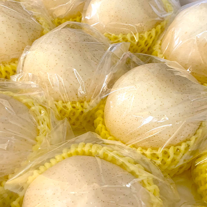 新世紀梨皆採禮盒包裝