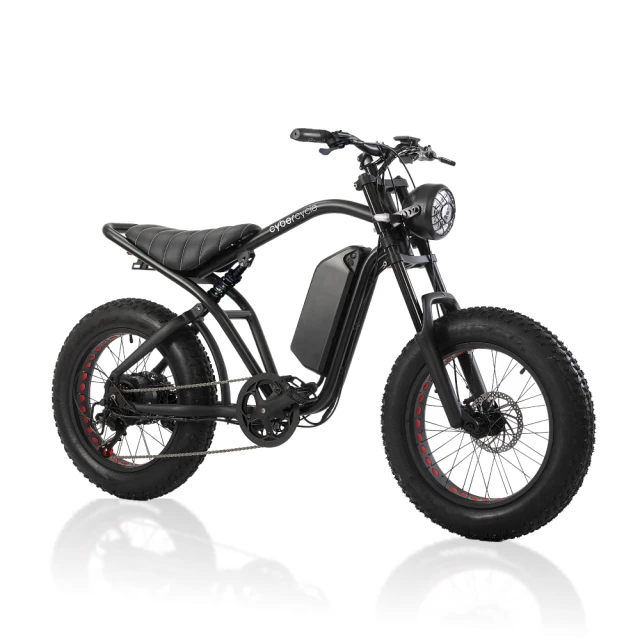 CyberCycle Rhino犀牛 - 樂遊版 | 20吋胖胎電動輔助自行車 | 400W | 48V 10Ah
