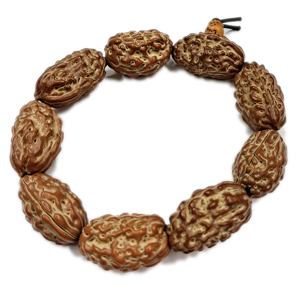 長壽金剛菩提手珠23*13mm【十方】121925