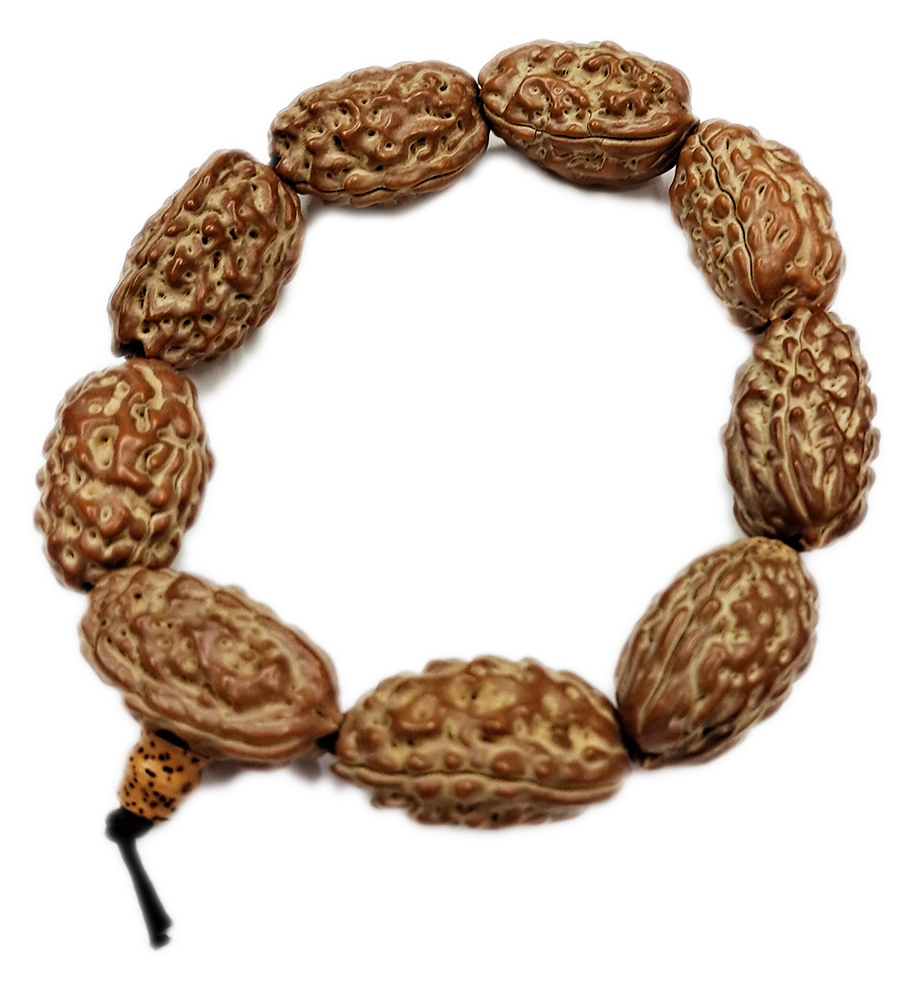 長壽金剛菩提手珠23*13mm【十方】121925