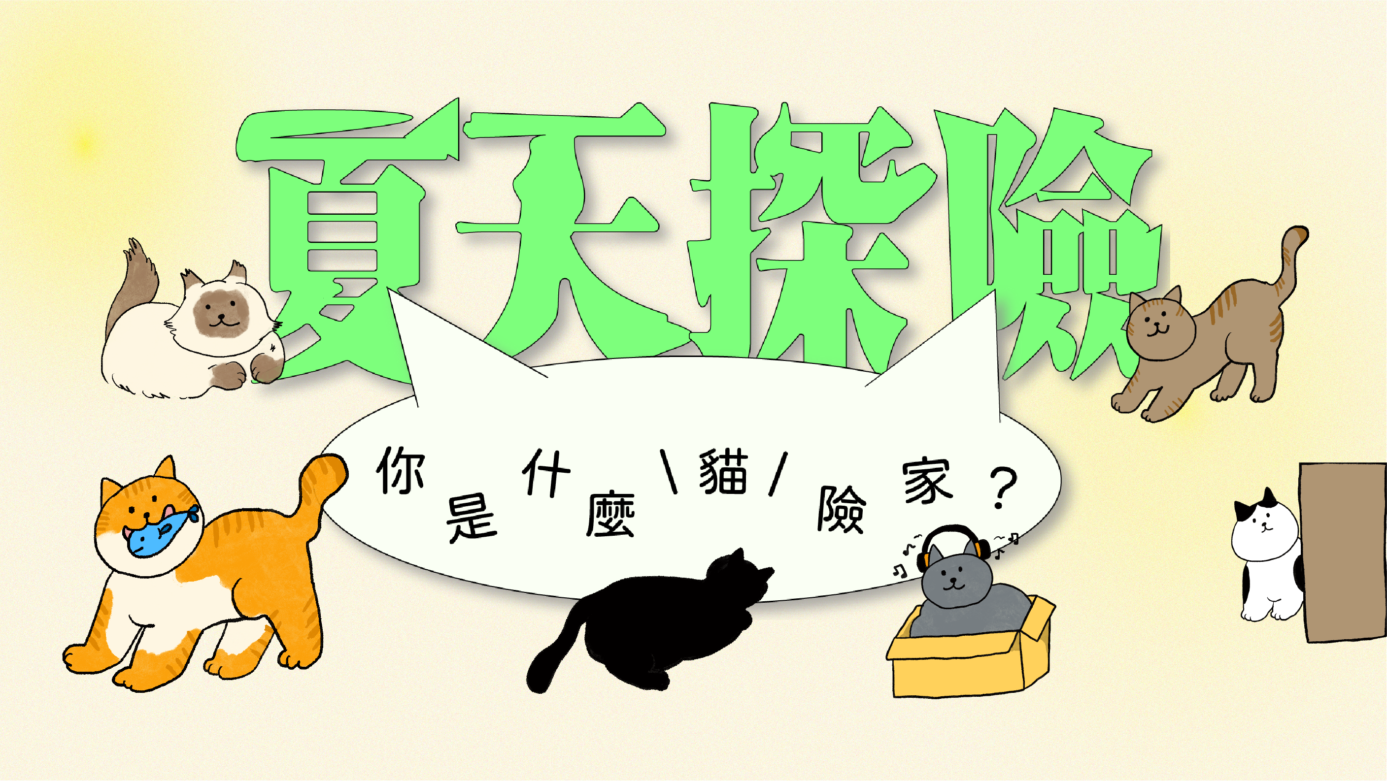 你是什麼貓險家