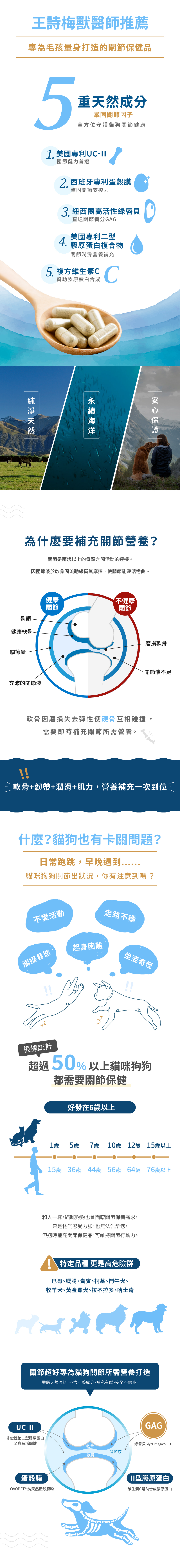 4、美國專利二型膠原蛋白，關節潤滑營養補充。5、複方維生素C，幫助膠原蛋白合成。