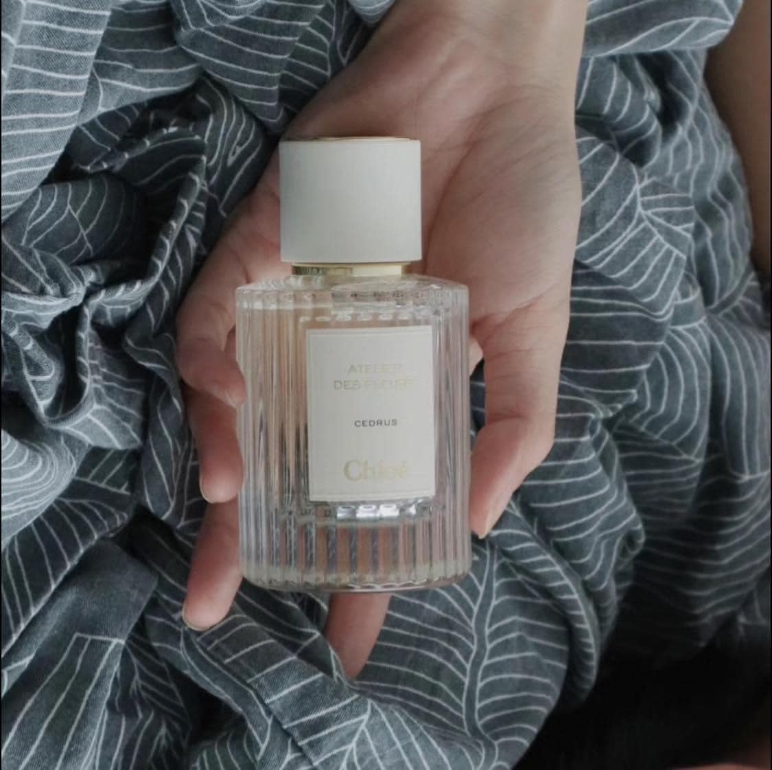 快速出貨】Chloe 仙境花園系列北國雪松淡香精（50ml）