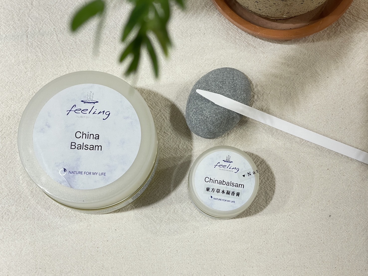 涼感放鬆 | 東方草本凝香膏