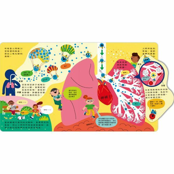 【樂森藥局】禾流文創 STEAM 科學小教室 人體大冒險、人體世界的知識圖畫書、機關書