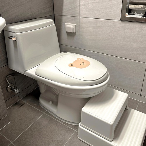 DOTTODOT×DURI無噪抗菌成人幼兒2in1座便盖