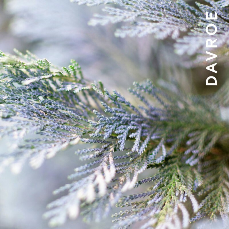 DAVROE 結構還原洗髮露 325ML