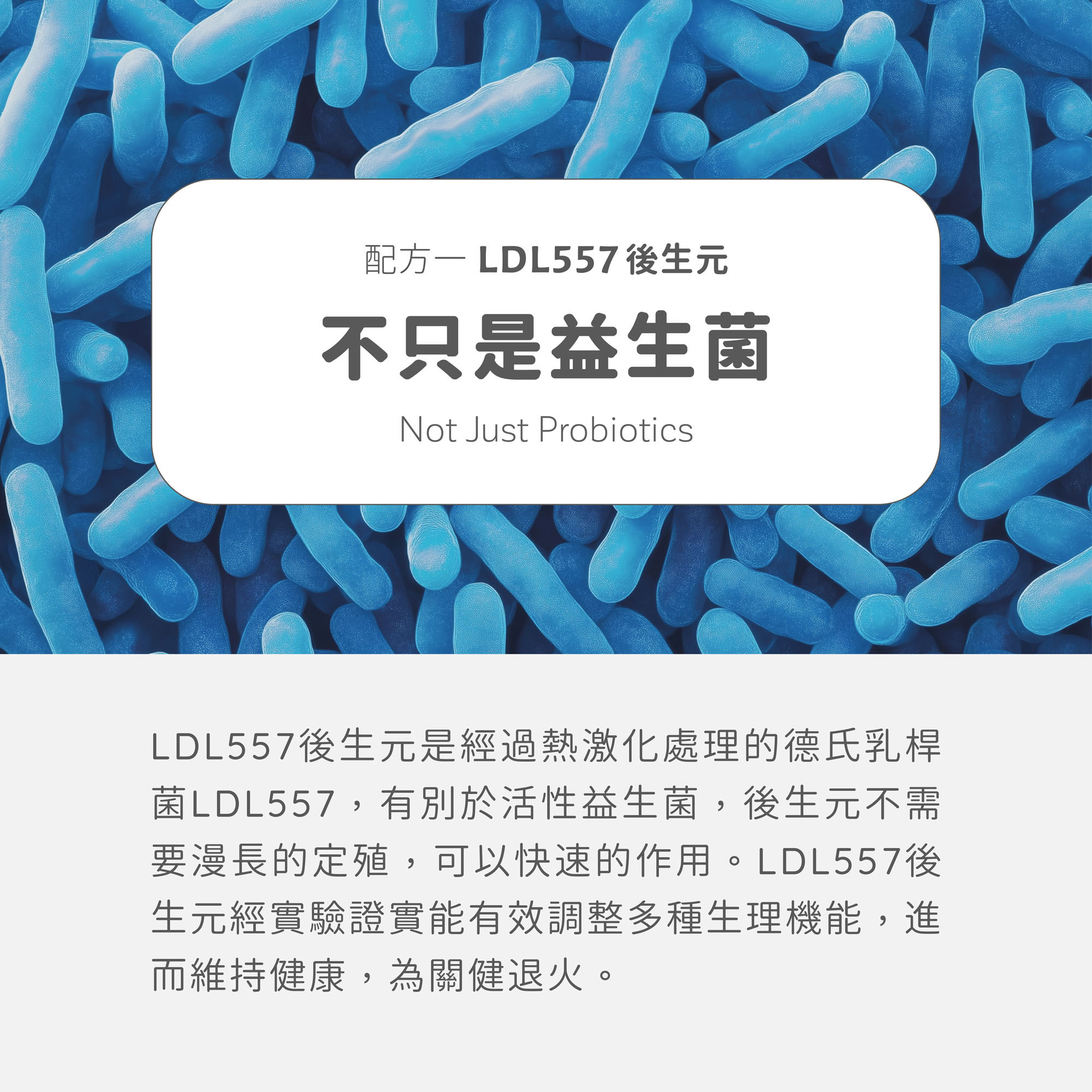 Ageless關健 LDL557後生元1 不只是益生菌