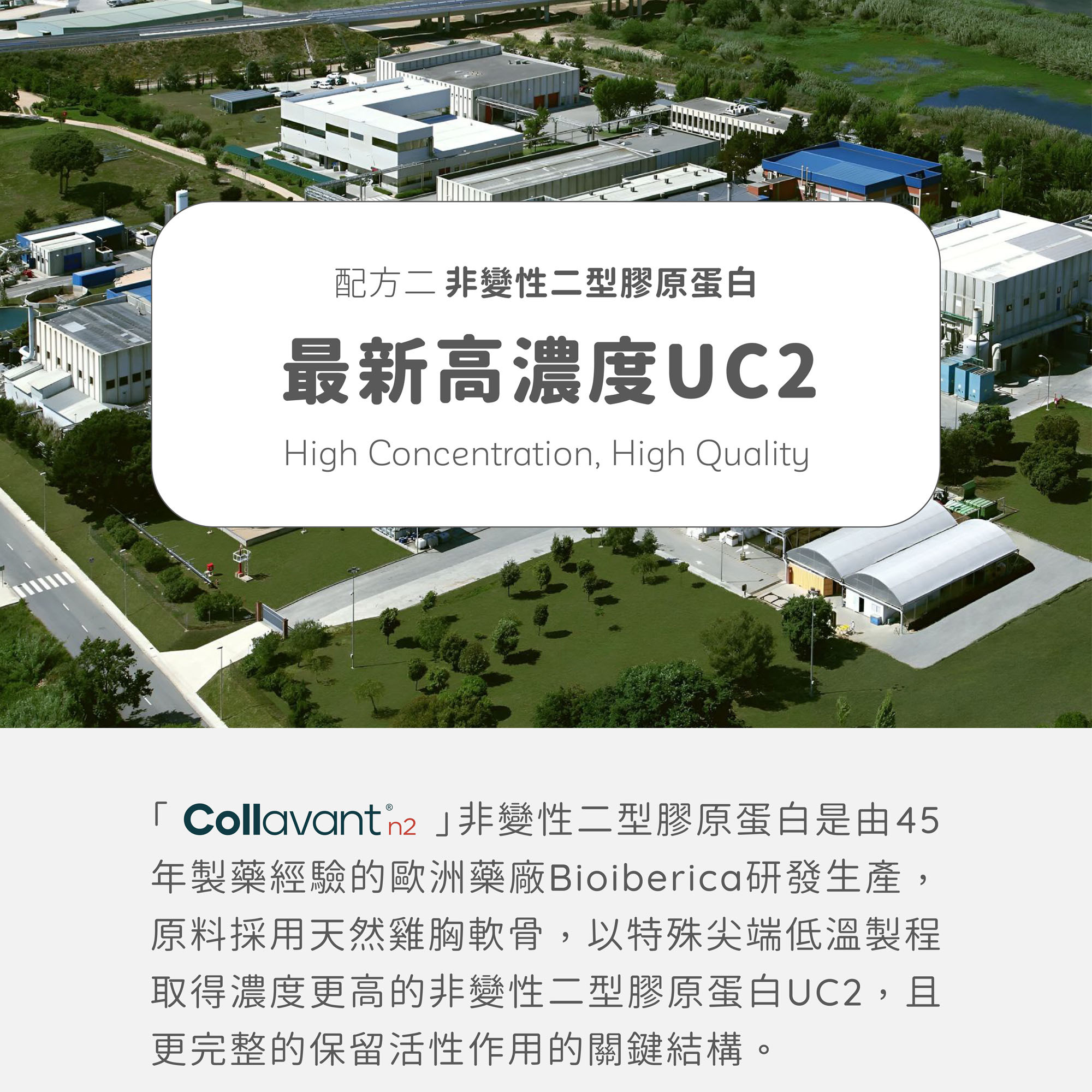Ageless關健 非變性二型膠原蛋白Collavant n2  最新高濃度UC2