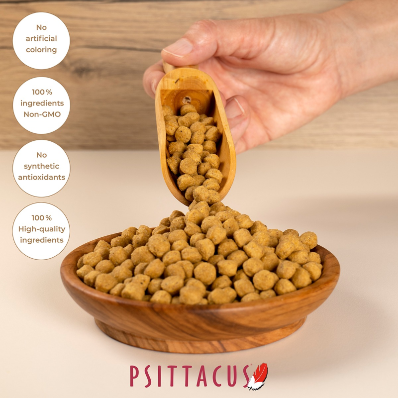 [一件包郵]Psittacus 高蛋白鸚鵡糧 滋養丸 - 800g (到期日:2026年9月)