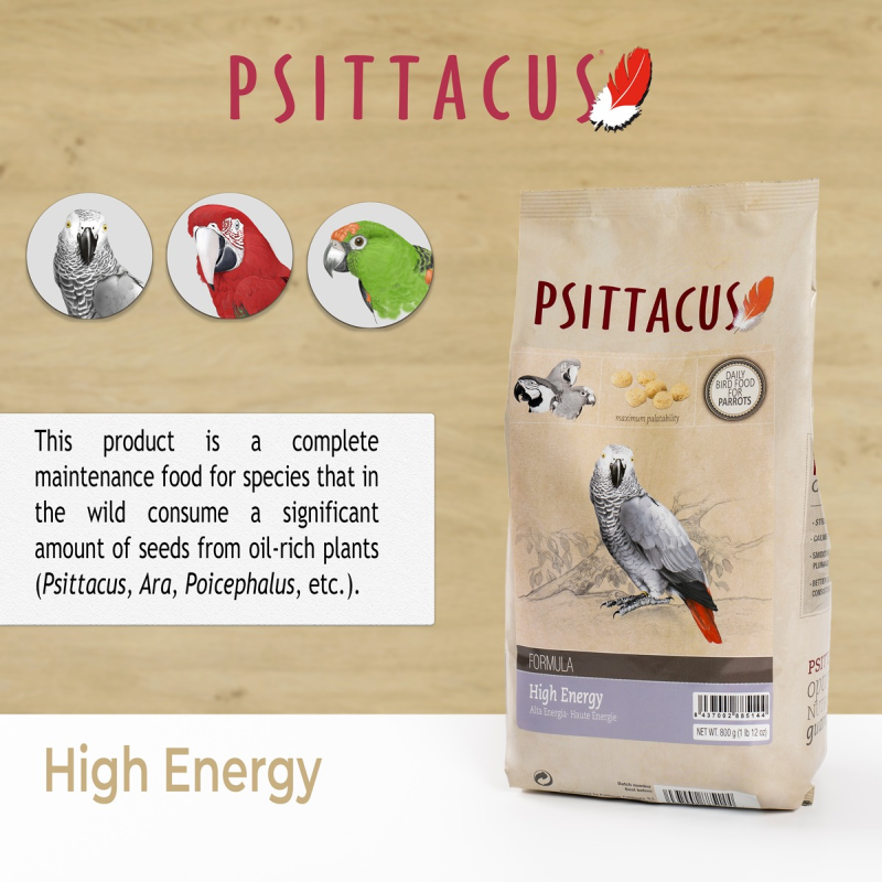 [一件包郵] Psittacus 高能量鸚鵡糧 滋養丸 - 800g