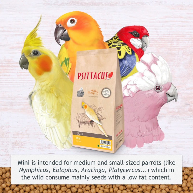 [一件包郵] Psittacus 中小型鸚鵡糧 滋養丸 - 450g