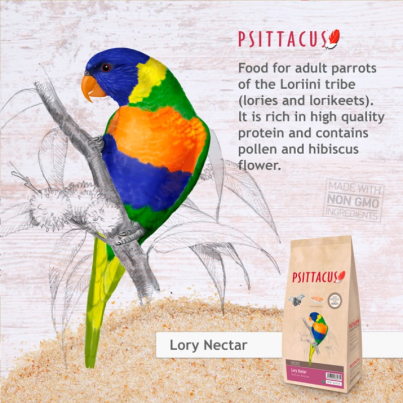 [一件包郵] Psittacus 吸蜜鸚鵡營養糧 - 1kg (到期日:2026年5月)