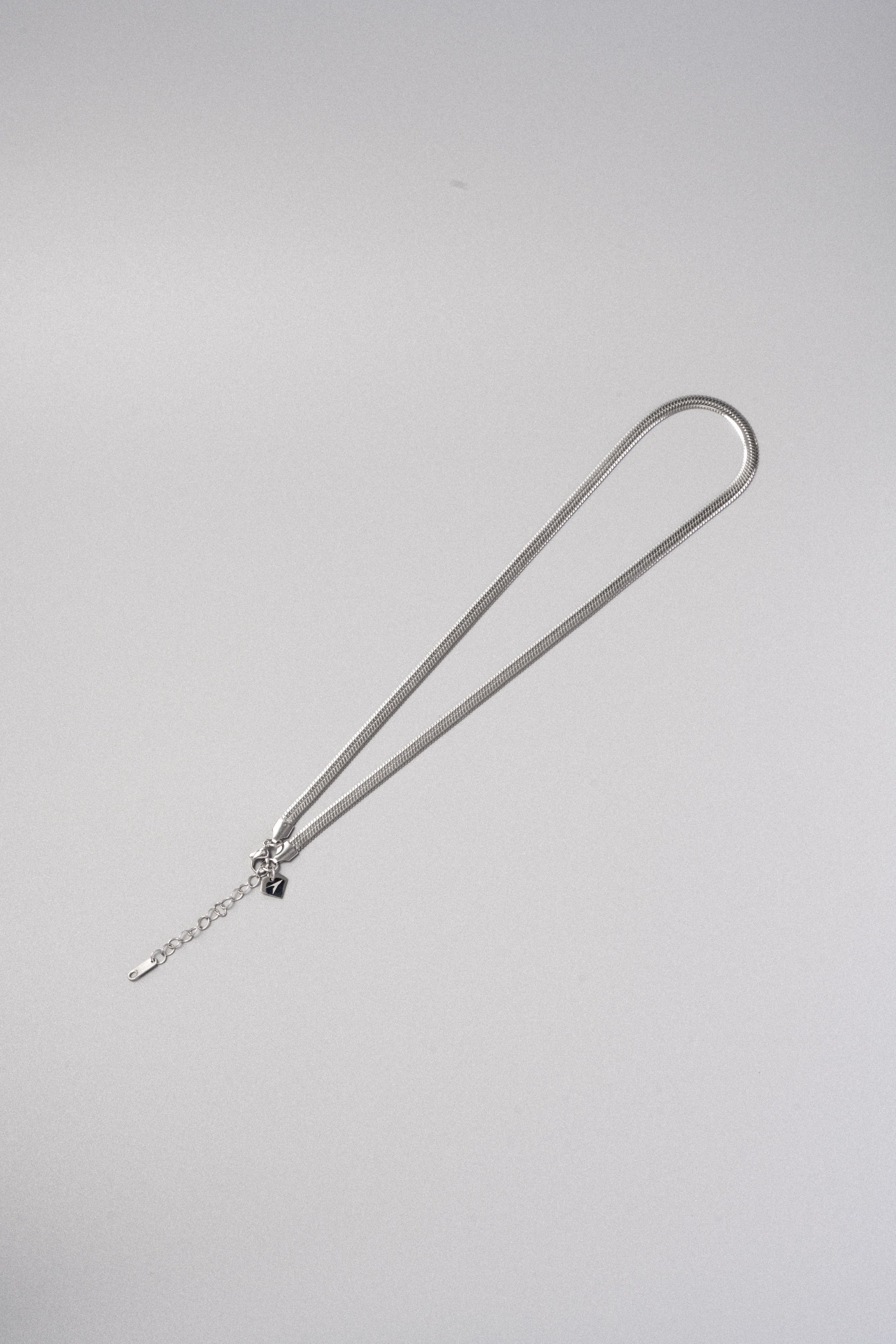 【BLUZ】316L 鱗片扁蛇骨項鍊